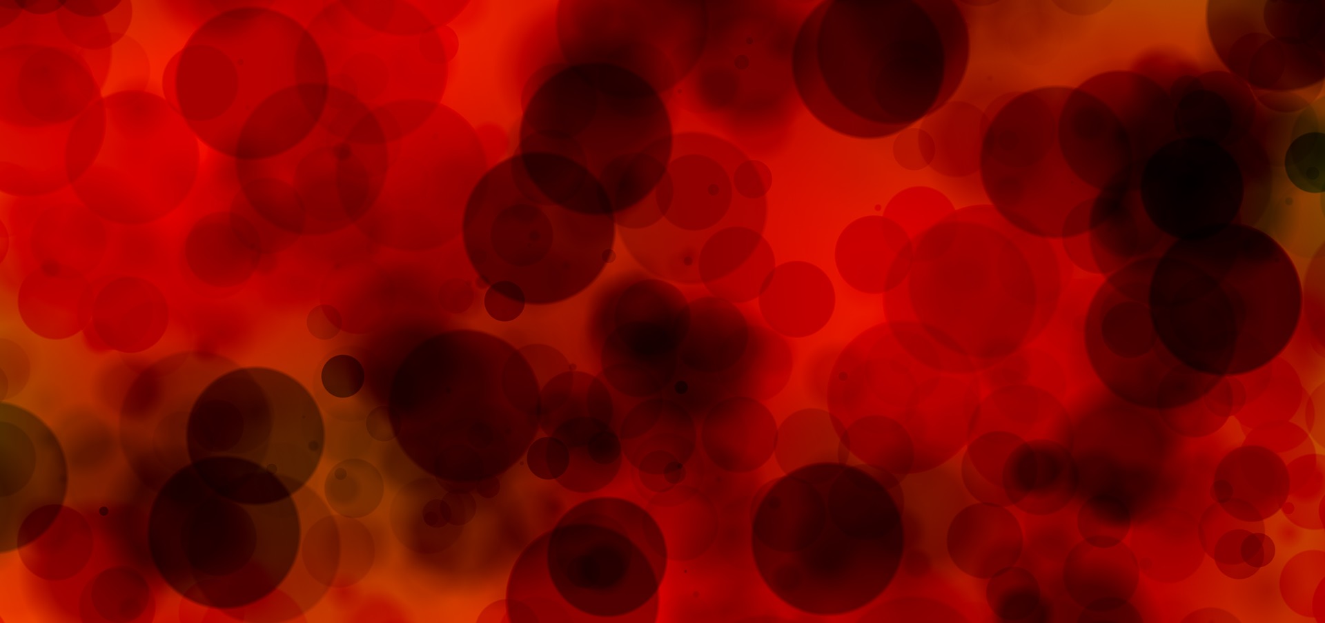 Les différents types de cellules sanguines