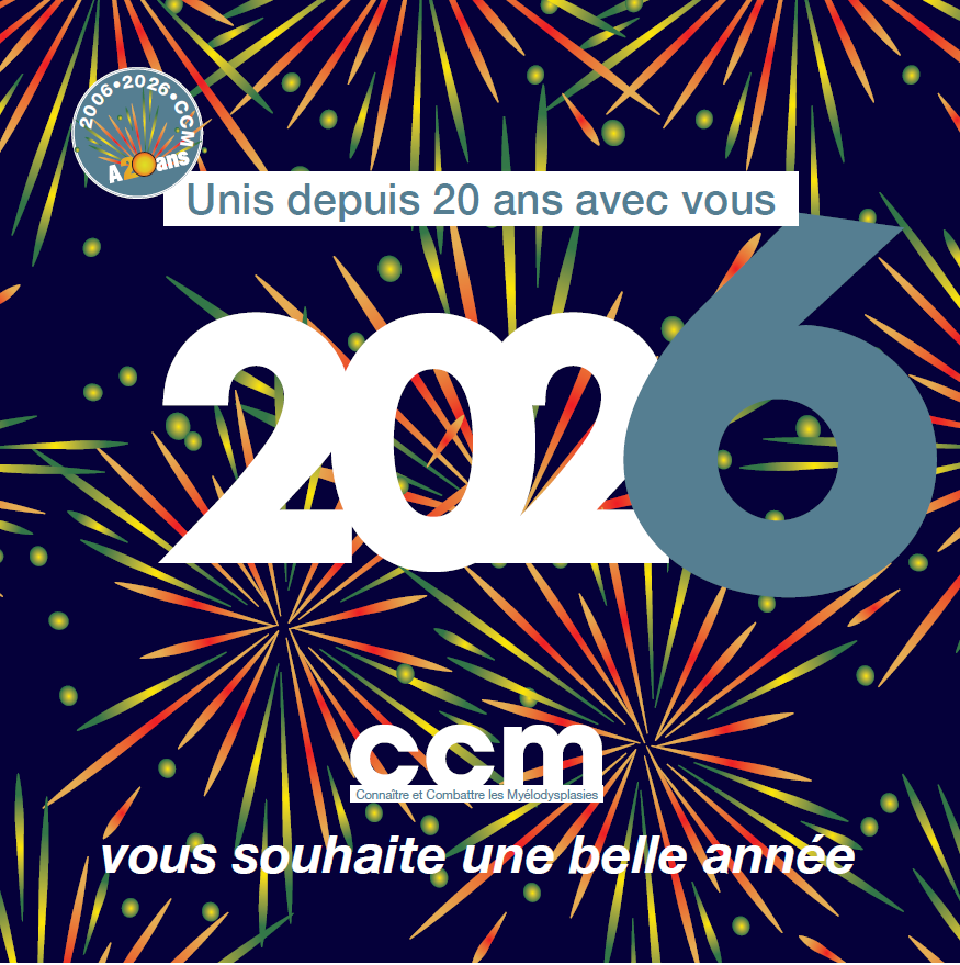 Bonnée année 2026