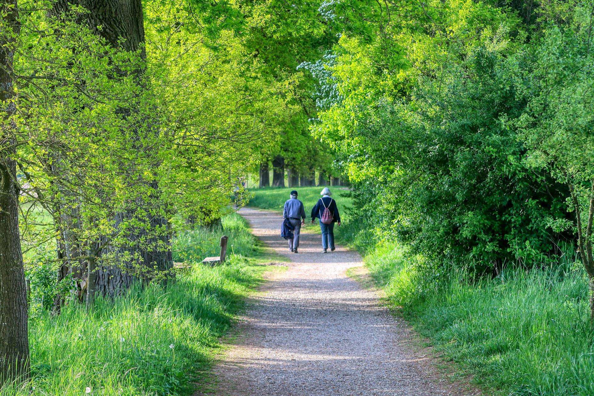 Vivre avec une myélodysplasie de haut risque